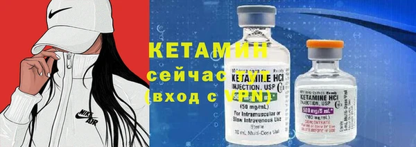 прущие грибы Лабытнанги