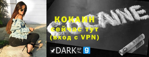 прущие грибы Лабытнанги
