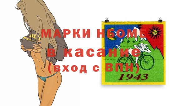 прущие грибы Лабытнанги