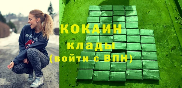 прущие грибы Лабытнанги