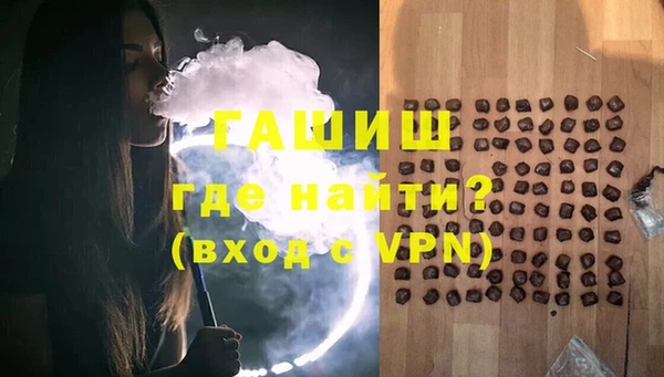 прущие грибы Лабытнанги
