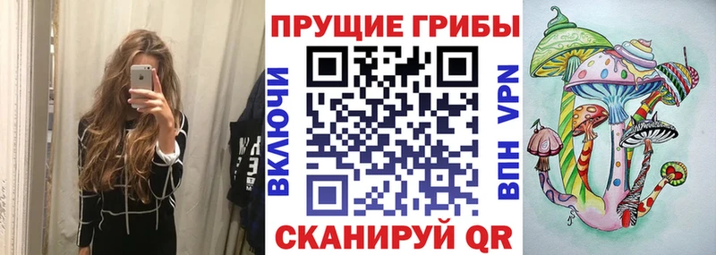 kraken онион  где продают   Медвежьегорск  Галлюциногенные грибы Magic Shrooms 